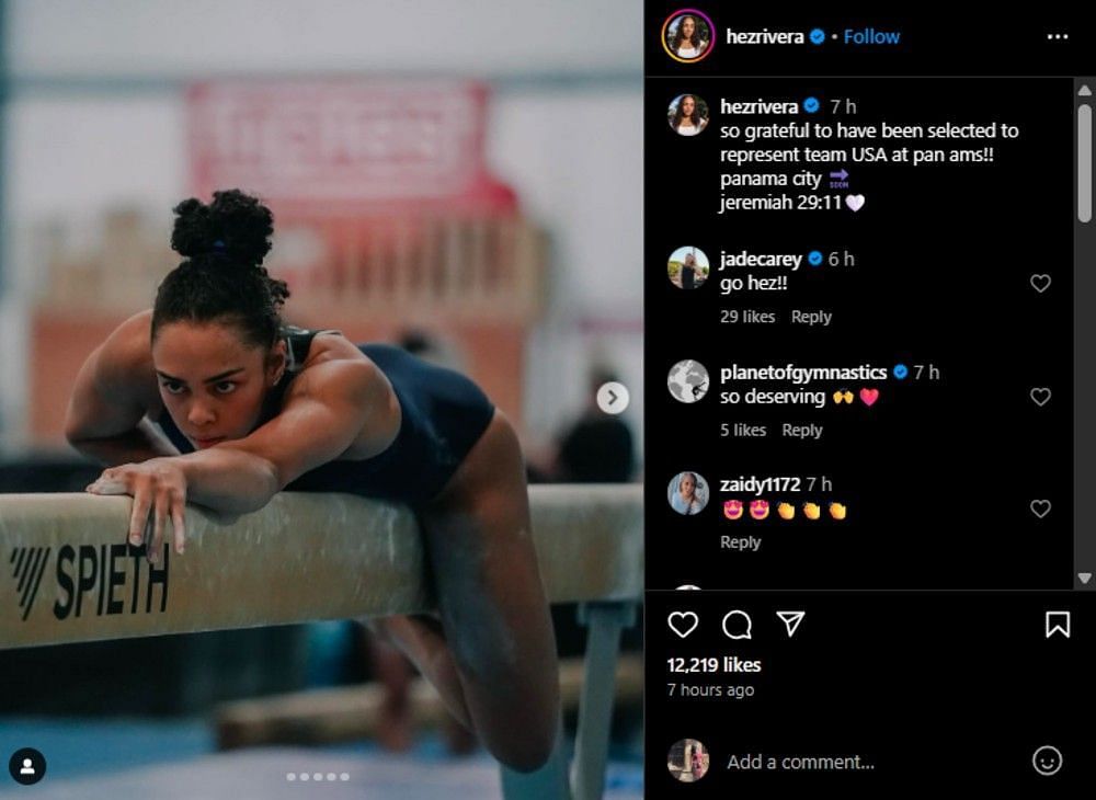 Screenshot of the Instagram post's comment section.